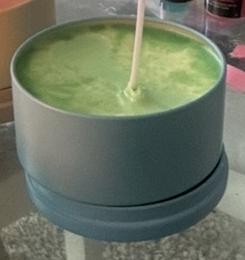 Gardenia Glow Scented Soy Candle